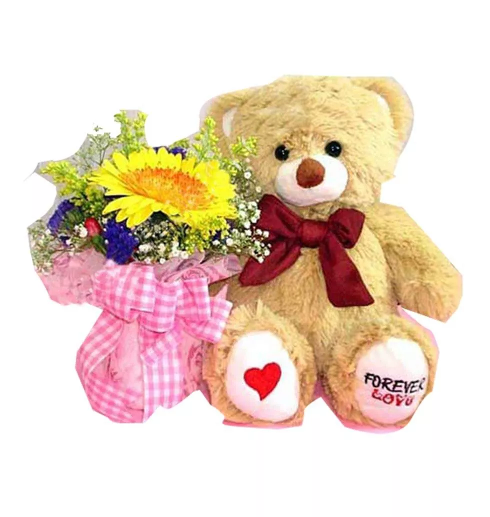 Gift of Sunflower and Teddy