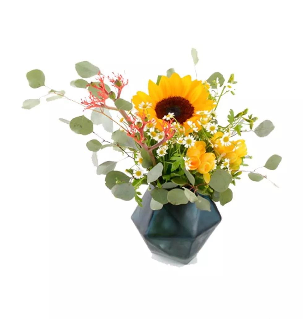 Arrangement with Ray of Sunshine
