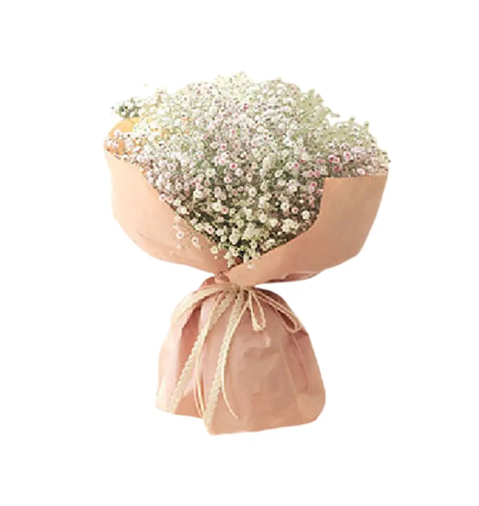 Elegant Baby's Breath Bouquet