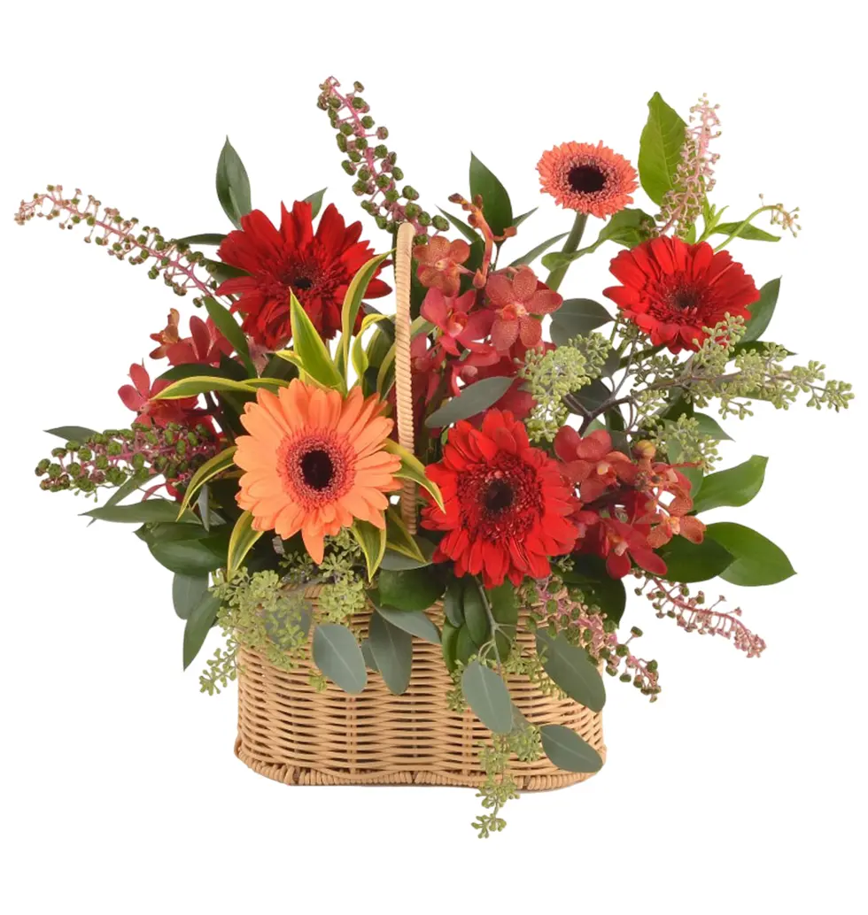 Vibrant Gerbera Basket Surprise