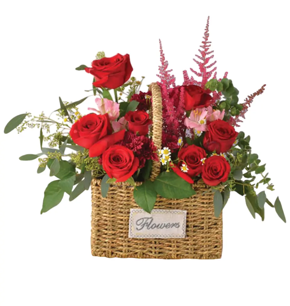 Floral Embrace of Color