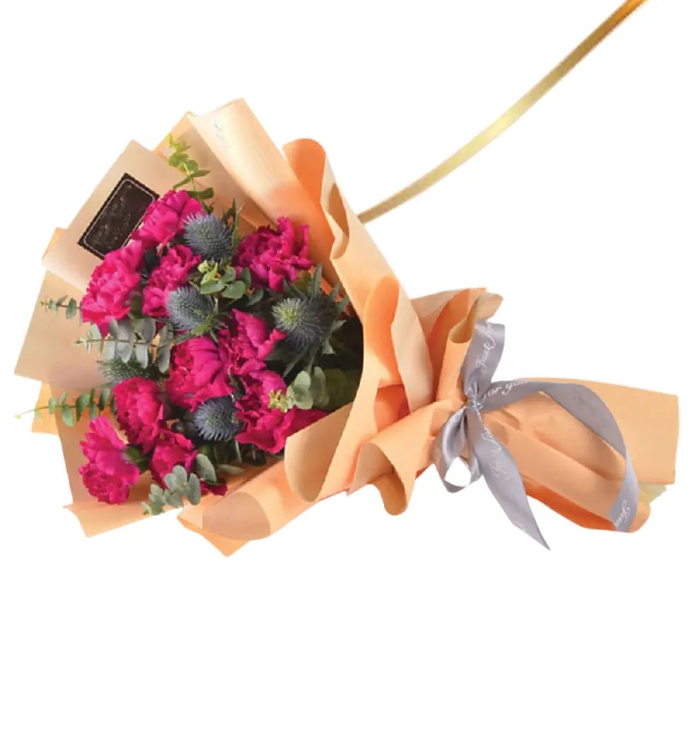 Pink Blossoms of Wonder