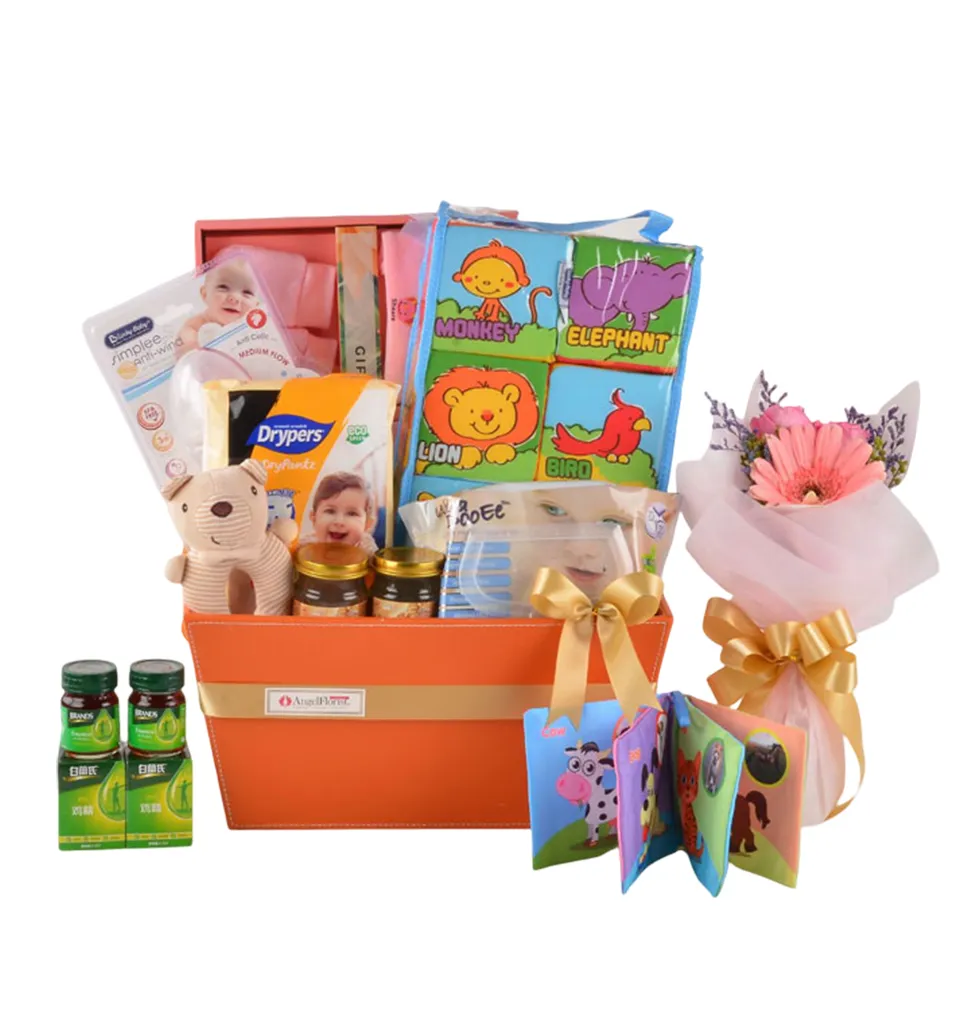 Newborn Joyful Essentials Bundle